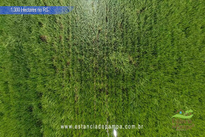 Criado em galpão-Os Serranos [VDownloader].00_01_18_15.Quadro025_d4cd3f4a5869cd8b2024081ad0d0d10b90db12ff.jpg